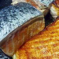 Grilled Salmon Fish Food