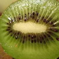 Kiwi Cross Section 