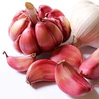 Red Garlic Cloves Food