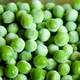 Semi Frozen Green Peas Beans
