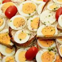 Sliced Eggs with small Tomatoes