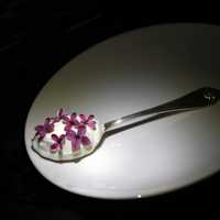 Spoonful of Yogurt with purple flowers