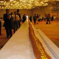 World's Longest Hotdog