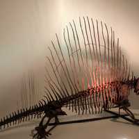 Dimetrodon