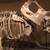 torosaurus fossil
