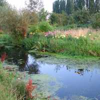 Hortillonnages landscape in Amiens, France