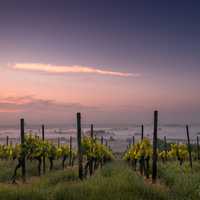 Farm and Landscape in Dienham, Germany