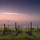 Farm and Landscape in Dienham, Germany
