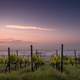 Farm and Landscape in Dienham, Germany