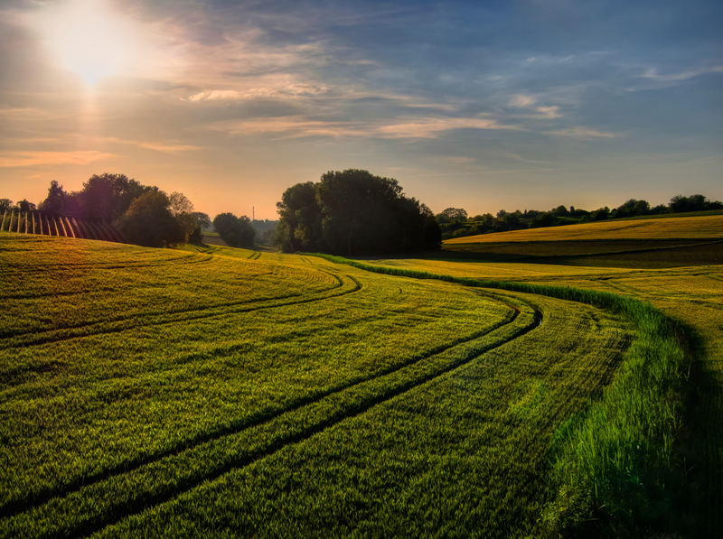 Fields and farms sunset landscape image - Free stock photo - Public ...