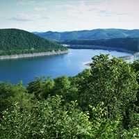 Forest, Trees, and lake landscape in Germany