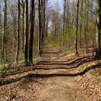 Hiking Path in Saxony, Germany