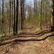 Hiking Path in Saxony, Germany