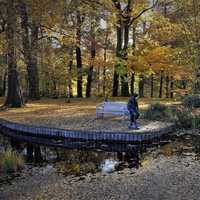 Scene in the Botanical Gardens in Germany