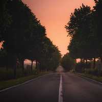 Scenic road in Monsheim, Germany