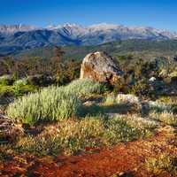 Beautiful Vegetation and Mountain Landscape in Crete