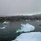 Boat among the Icebergs 