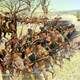 1st Maryland Regiment holding back the British at the Battle of Guilford Courthouse