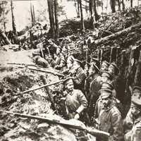 Russian forest trench at the Battle of Sarikamish during World War I
