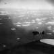 Japanese carrier dive bombers during the Battle of Coral Sea, World War II