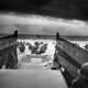 Landing Craft delivering Troops to Omaha Beach during D-Day, World War II