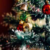 Close-up of Christmas Tree Ornaments 