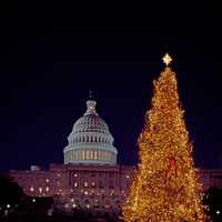 Lighted Christmas tree next to parliament building