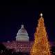 Lighted Christmas tree next to parliament building