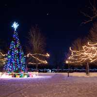 Neon Christmas Tree and Lights and Decorations