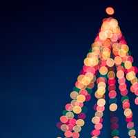 Sparkle of lights on a Christmas Tree