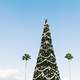 Tall Christmas Tree with lights