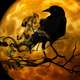 Crow standing on Branch in front of full moon scary Halloween Scene