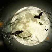 Spooky Halloween Illustration of Bats and Crow under the full moon