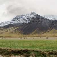 Wide-angle landscape of the fields and mountains in Iceland