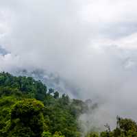 Fog and Clouds over the forest at Ravangla, India