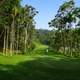 Golf Course with tropical trees in India