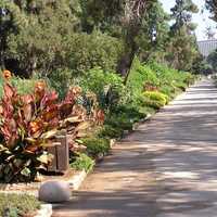 Garden at the Hebrew University in Jerusalem, Israel