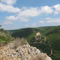 Hills and Trees in Israel