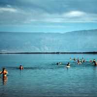 People Bathing in the Dead Sea, Israel