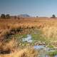 Plains and streams landscapes on Golan Heights in Israel