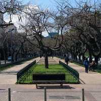 Rothschild Boulevard in Tel Aviv, Israel