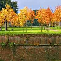 Autumn atop bastions in Lucca, Italy