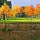 Autumn atop bastions in Lucca, Italy