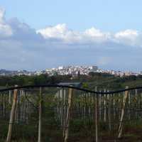 Panorama of Velletri From the field in Italy