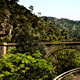 Train bridge, trail and forest trees