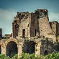 Ruins of the Flavian palace