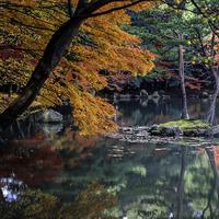 Kyoto  Photos