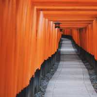 Fushimi inari in Kyoto, Japan