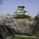 Farther view of Osaka Castle, Japan