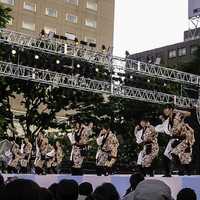 Yosakoi Sōran Festival Dancers in Sapporo, Japan
